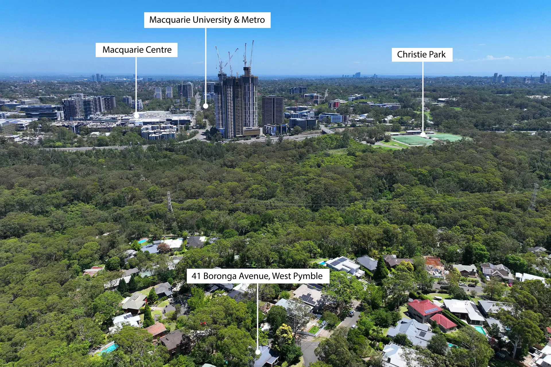 41 Boronga Avenue, West Pymble For Lease by James Avenue - image 1